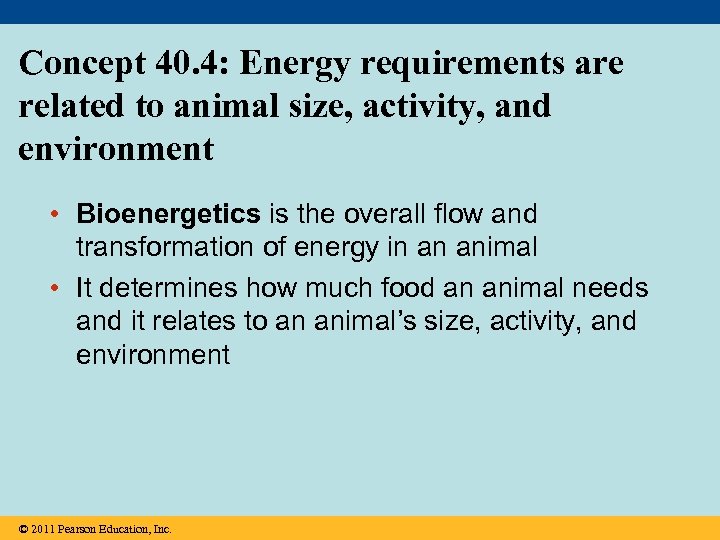 Concept 40. 4: Energy requirements are related to animal size, activity, and environment •