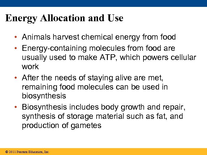 Energy Allocation and Use • Animals harvest chemical energy from food • Energy-containing molecules