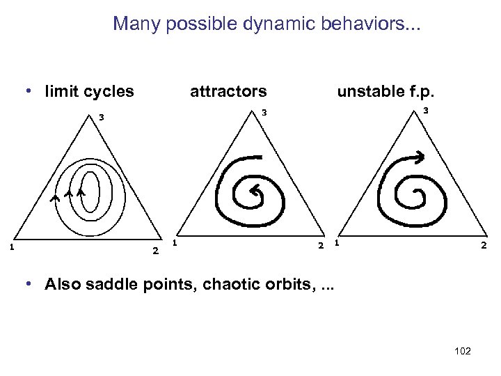 Many possible dynamic behaviors. . . • limit cycles attractors unstable f. p. •