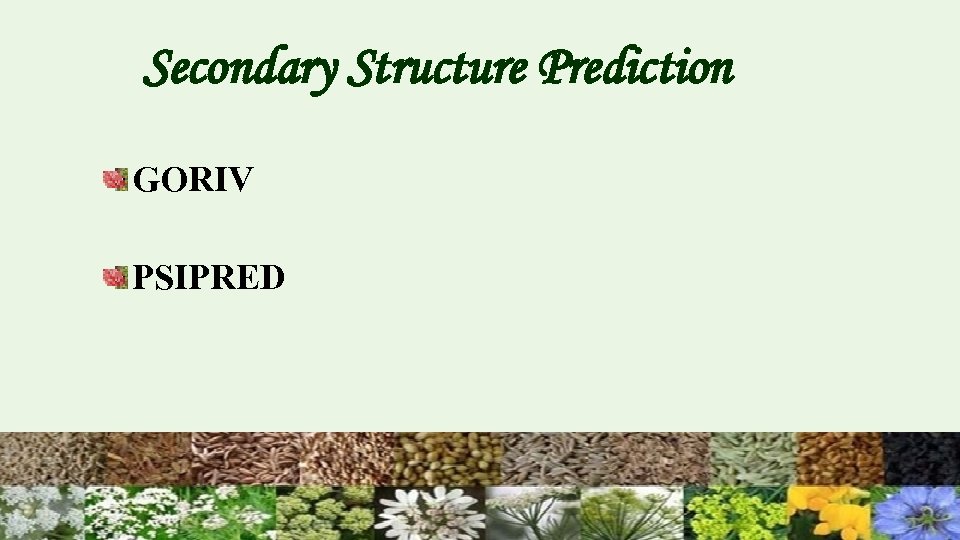 Secondary Structure Prediction GORIV PSIPRED 