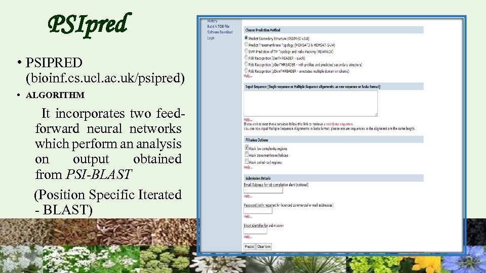 PSIpred • PSIPRED (bioinf. cs. ucl. ac. uk/psipred) • ALGORITHM It incorporates two feedforward
