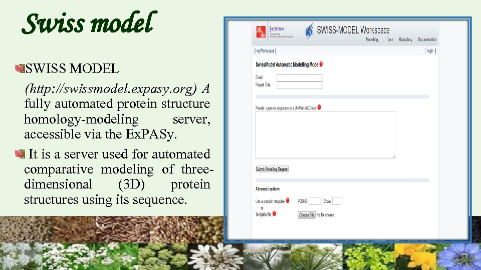 Swiss model SWISS MODEL (http: //swissmodel. expasy. org) A fully automated protein structure homology-modeling