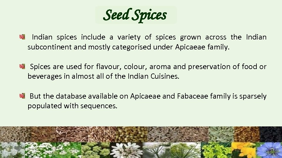 Seed Spices Indian spices include a variety of spices grown across the Indian subcontinent