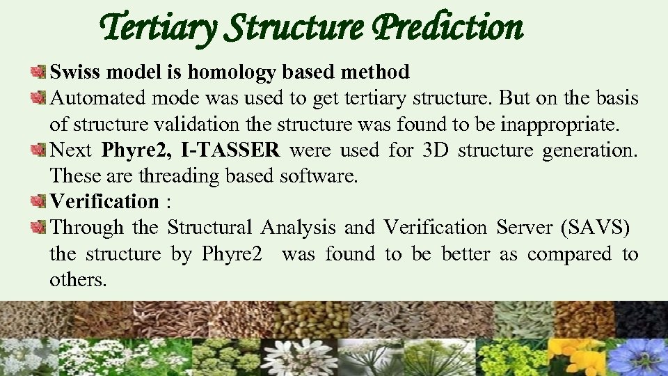 Tertiary Structure Prediction Swiss model is homology based method Automated mode was used to