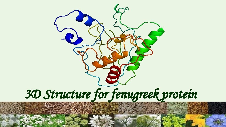 3 D Structure for fenugreek protein 