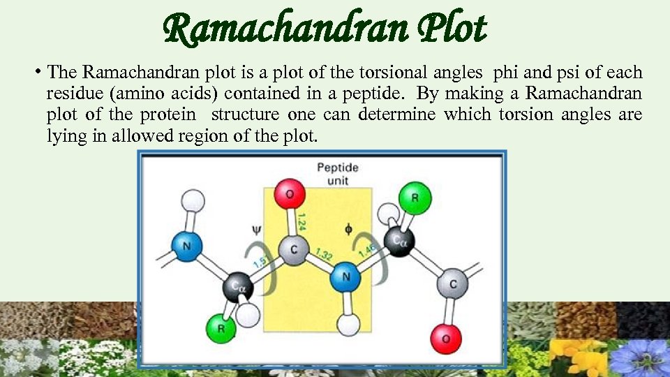 Ramachandran Plot • The Ramachandran plot is a plot of the torsional angles phi