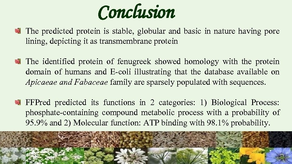 Conclusion The predicted protein is stable, globular and basic in nature having pore lining,