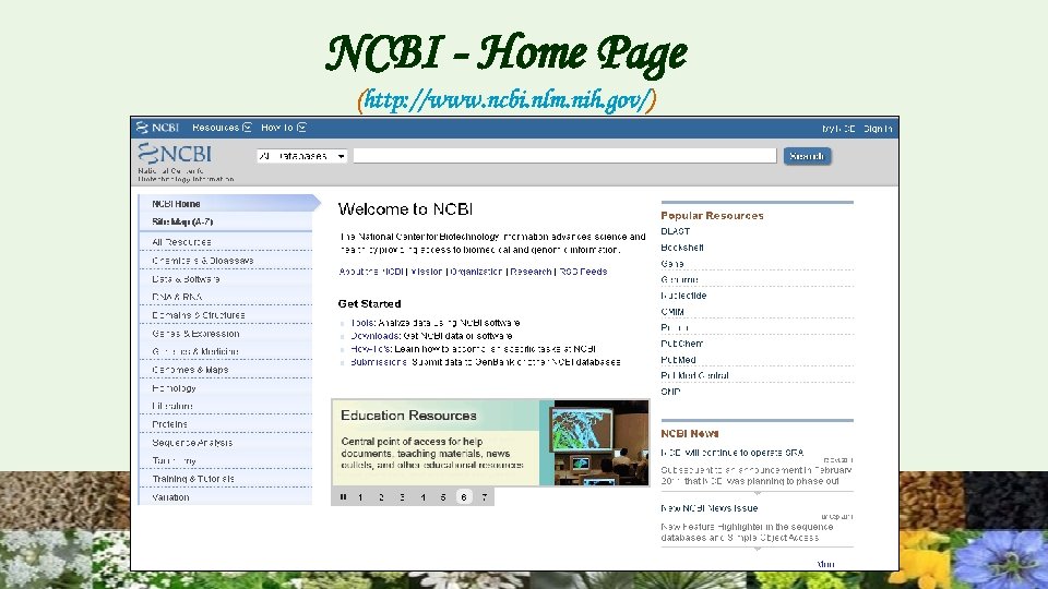 NCBI - Home Page (http: //www. ncbi. nlm. nih. gov/) 