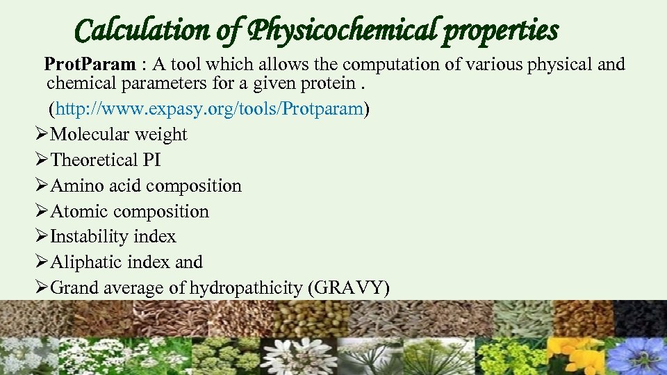 Calculation of Physicochemical properties Prot. Param : A tool which allows the computation of