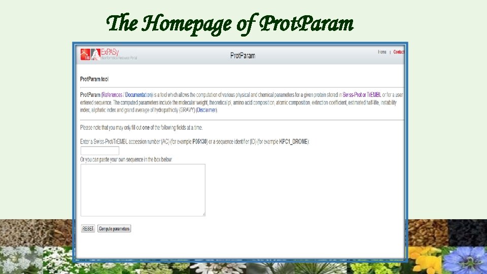 The Homepage of Prot. Param 