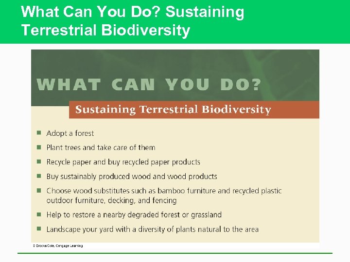 What Can You Do? Sustaining Terrestrial Biodiversity 