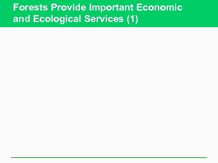 Forests Provide Important Economic and Ecological Services (1) 