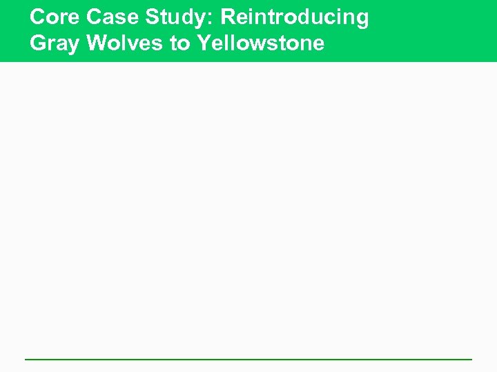 Core Case Study: Reintroducing Gray Wolves to Yellowstone 