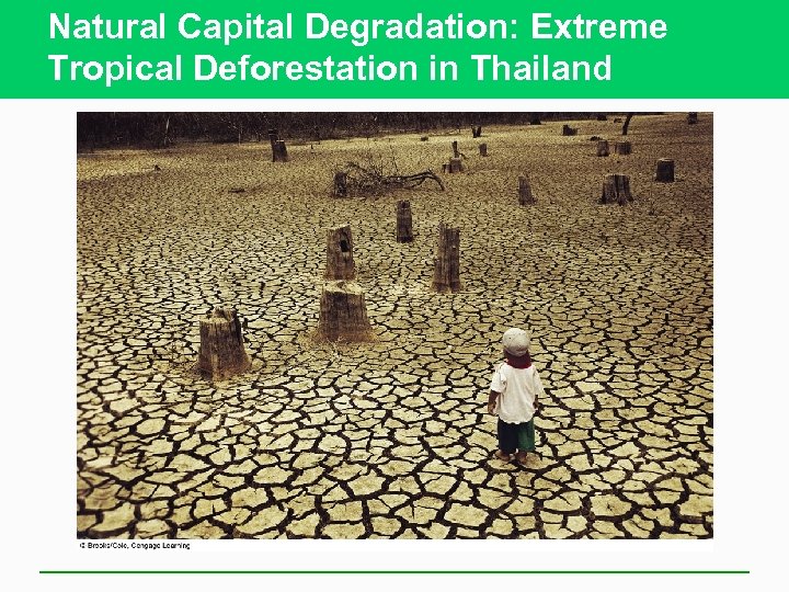 Natural Capital Degradation: Extreme Tropical Deforestation in Thailand 