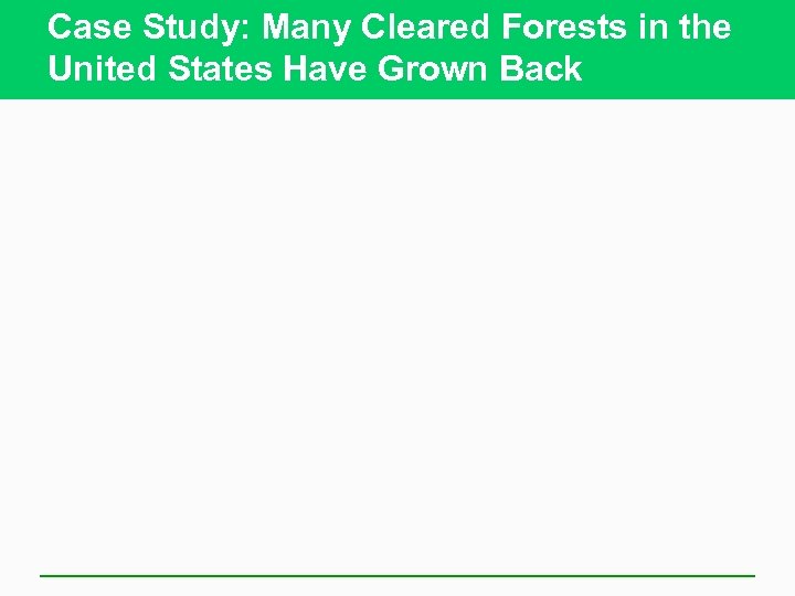 Case Study: Many Cleared Forests in the United States Have Grown Back 