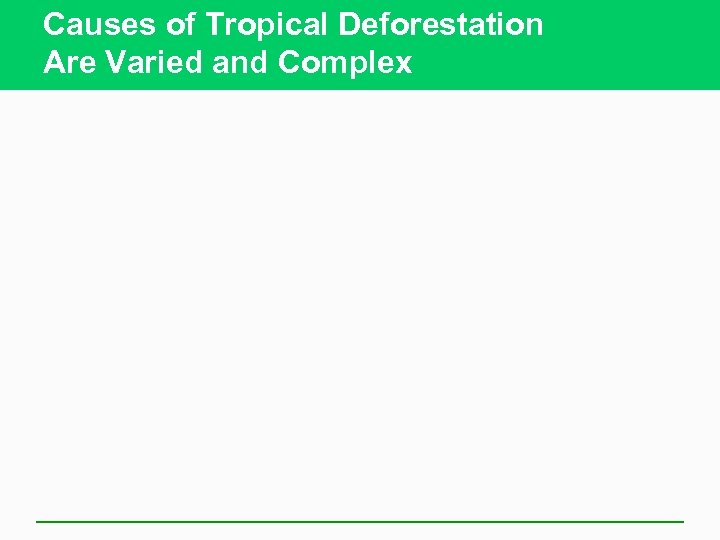 Causes of Tropical Deforestation Are Varied and Complex 