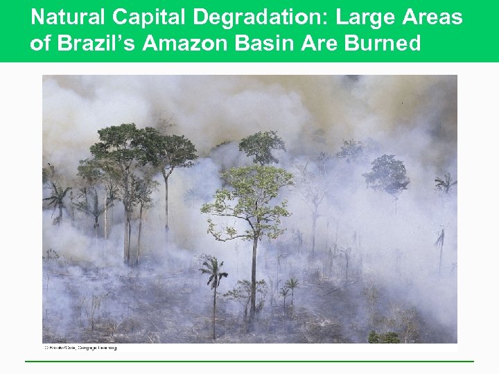 Natural Capital Degradation: Large Areas of Brazil’s Amazon Basin Are Burned 