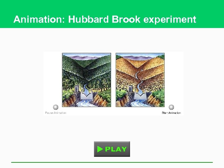 Animation: Hubbard Brook experiment 