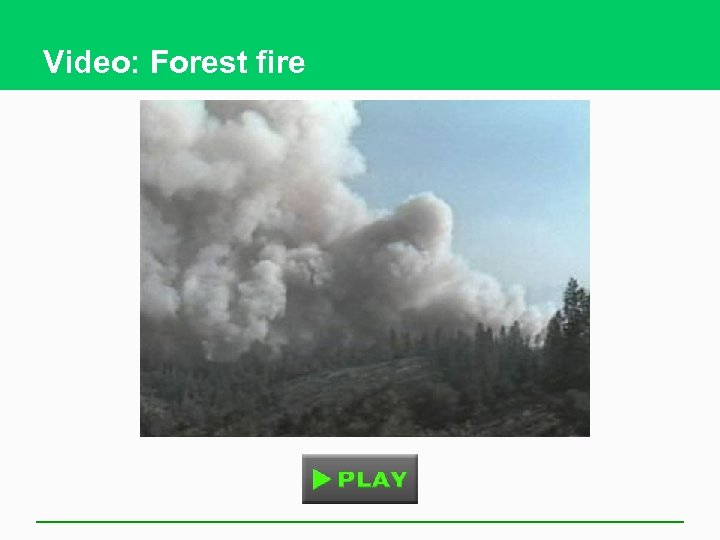 Video: Forest fire 