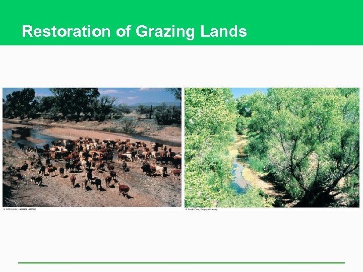 Restoration of Grazing Lands 