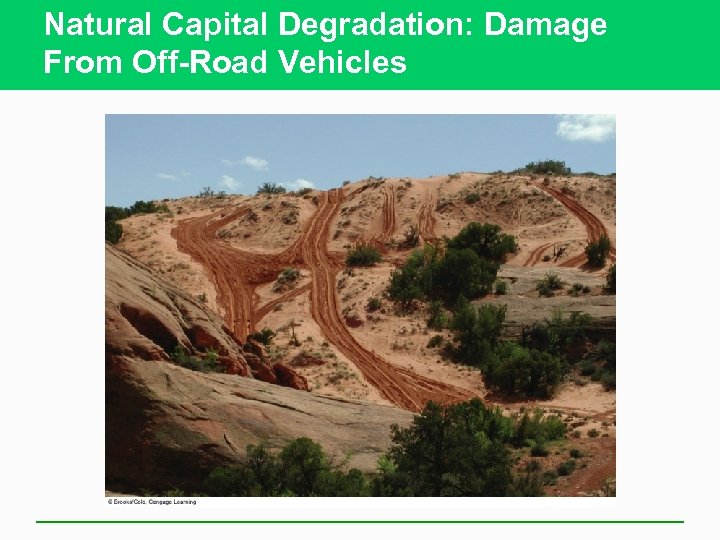 Natural Capital Degradation: Damage From Off-Road Vehicles 