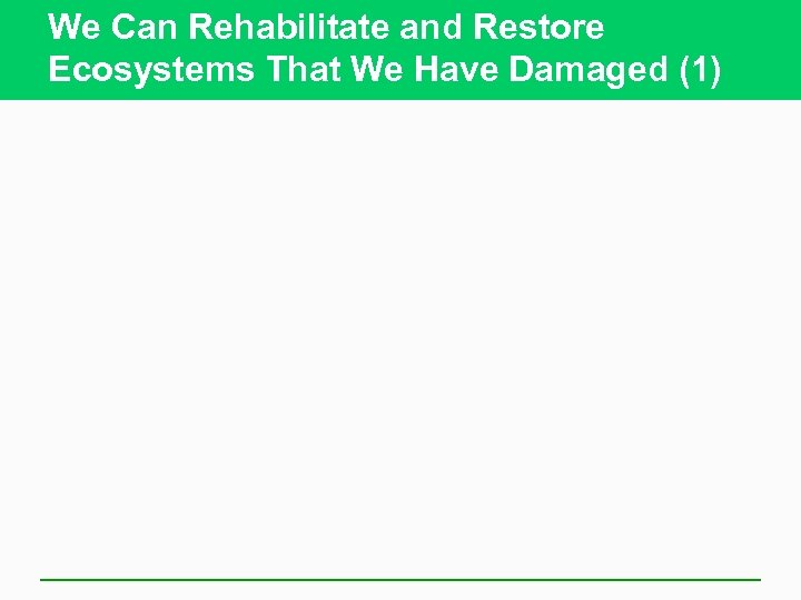 We Can Rehabilitate and Restore Ecosystems That We Have Damaged (1) 