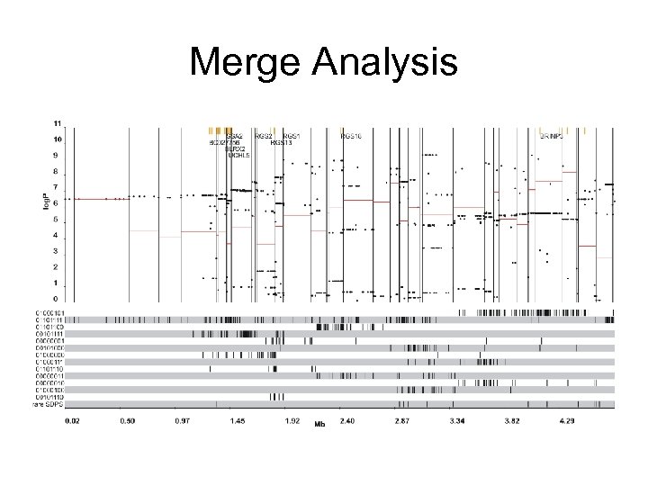 Merge Analysis 