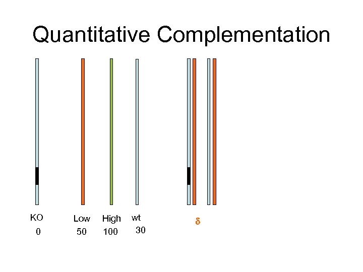 Quantitative Complementation KO 0 Low 50 High 100 wt 30 d 