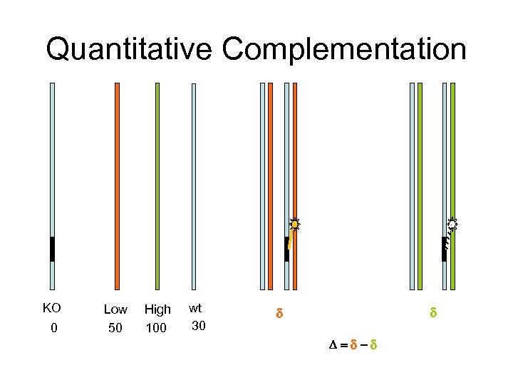 Quantitative Complementation KO 0 Low 50 High 100 wt 30 d d D=d-d 