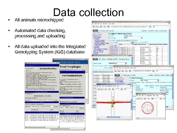 Data collection • All animals microchipped • Automated data checking, processing and uploading •