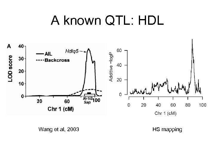 A known QTL: HDL Wang et al, 2003 HS mapping 