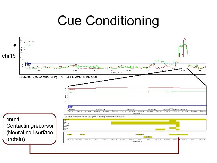 Cue Conditioning • Freeze. During. Tone: huge effect, small chr 15 number of genes