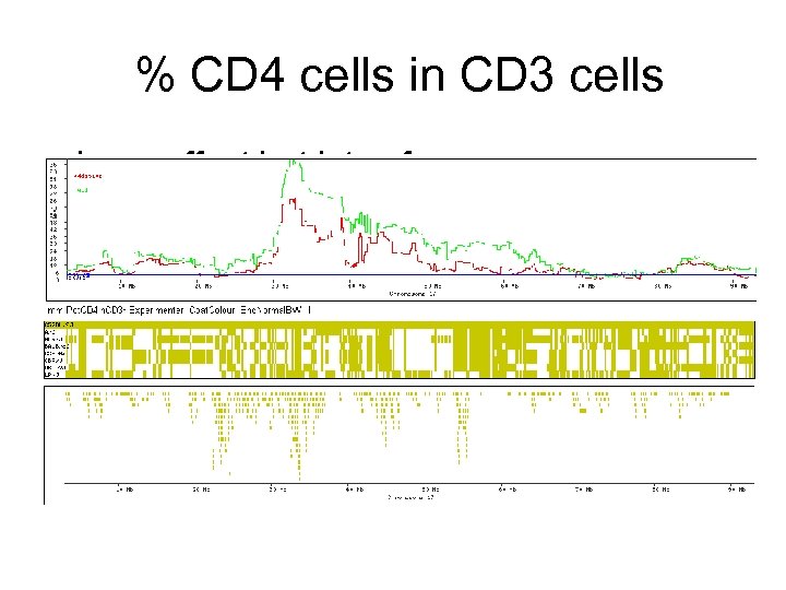 % CD 4 cells in CD 3 cells • huge effect but lots of