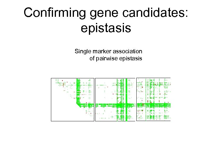 Confirming gene candidates: epistasis Single marker association of pairwise epistasis 