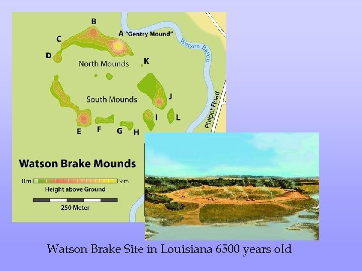 Watson Brake Site in Louisiana 6500 years old 