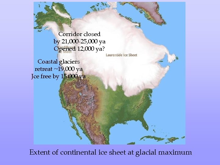 Corridor closed by 21, 000 -25, 000 ya Opened 12, 000 ya? Coastal glaciers