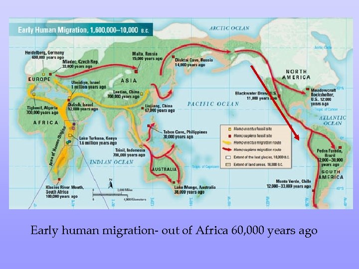 Early human migration- out of Africa 60, 000 years ago 