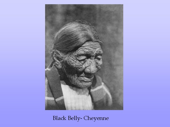 Black Belly- Cheyenne 