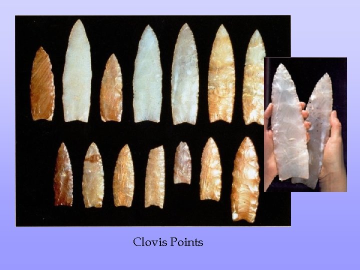 Clovis Points 