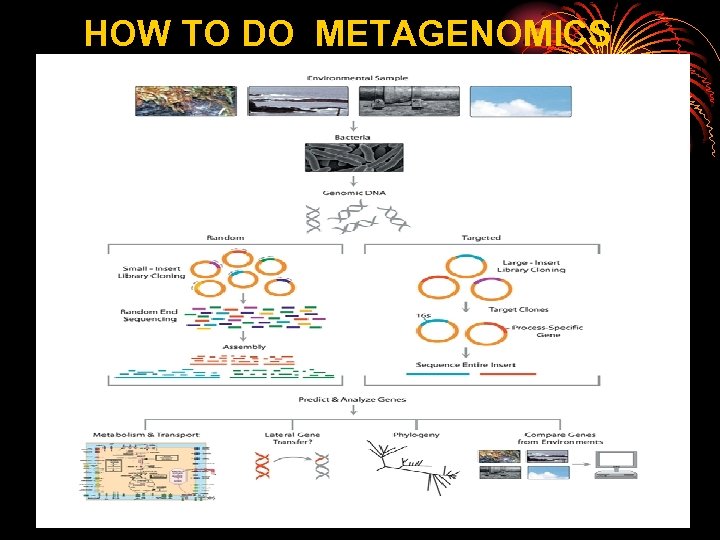  HOW TO DO METAGENOMICS 