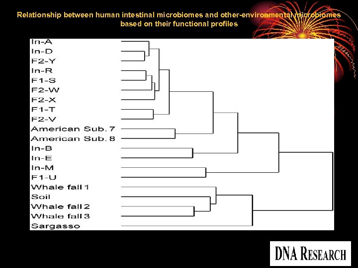 Relationship between human intestinal microbiomes and other-environmental microbiomes based on their functional profiles Kurokawa,