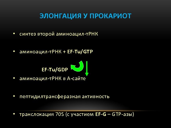 ЭЛОНГАЦИЯ У ПРОКАРИОТ • синтез второй аминоацил-т. РНК • аминоацил-т. РНК + EF-Tu/GTP EF-Tu/GDP
