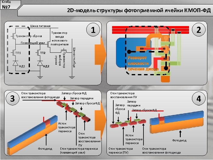 Слайд № 7 2 D-модель структуры фотоприемной ячейки КМОП-ФД 1 Шина питания Транзистор сброса