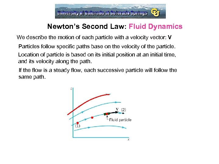 Newton’s Second Law: Fluid Dynamics We describe the motion of each particle with a