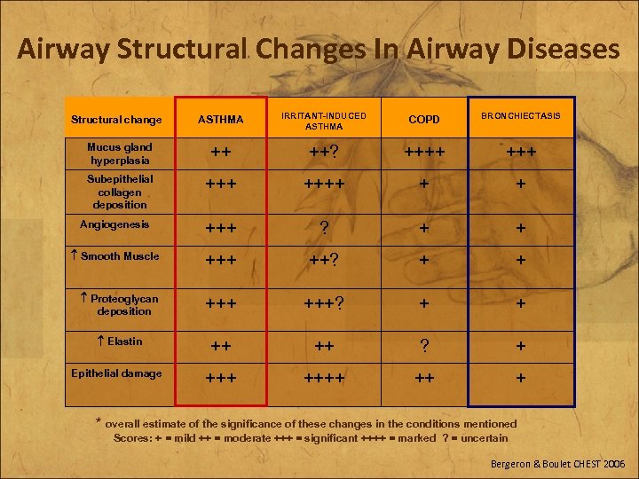 Airway Structural Changes In Airway Diseases ASTHMA IRRITANT-INDUCED ASTHMA COPD BRONCHIECTASIS ++ ++? ++++