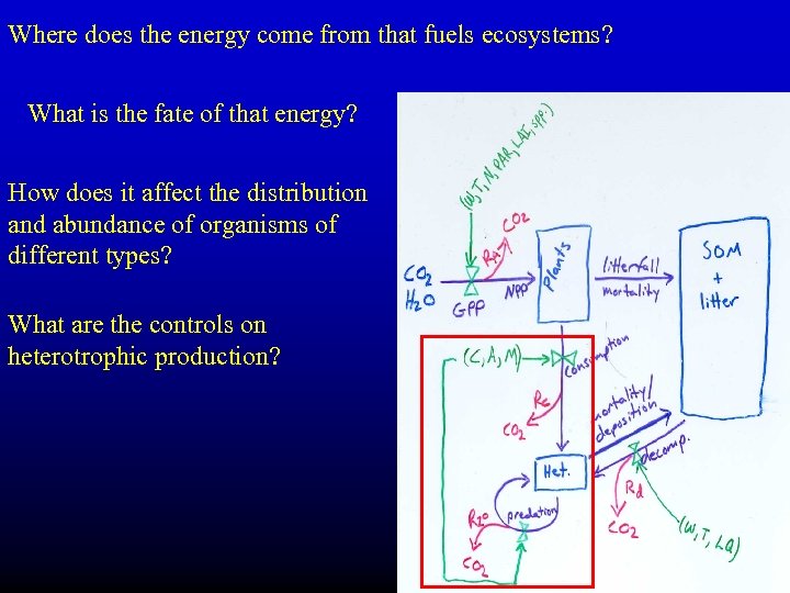 Where does the energy come from that fuels ecosystems? What is the fate of
