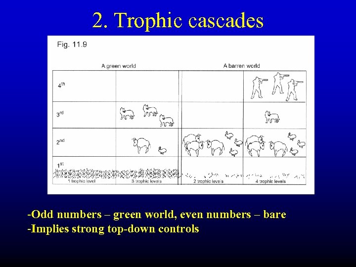 2. Trophic cascades -Odd numbers – green world, even numbers – bare -Implies strong