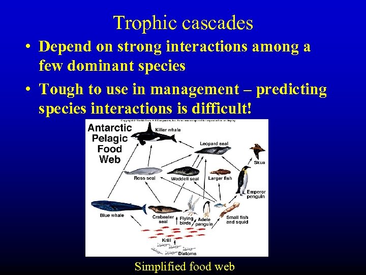 Trophic cascades • Depend on strong interactions among a few dominant species • Tough