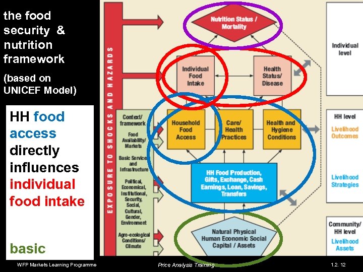 the food security & nutrition framework (based on UNICEF Model) outcomes HH food access