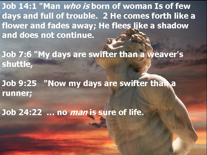 Job 14: 1 "Man who is born of woman Is of few days and